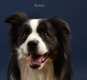 009-kenzo-zwart-dsc_1771